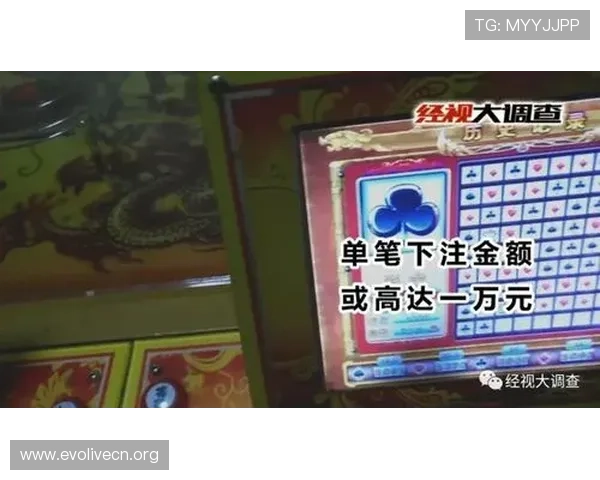 深入了解inbet百家乐官网的优惠活动与奖励机制，提升您的游戏盈利机会